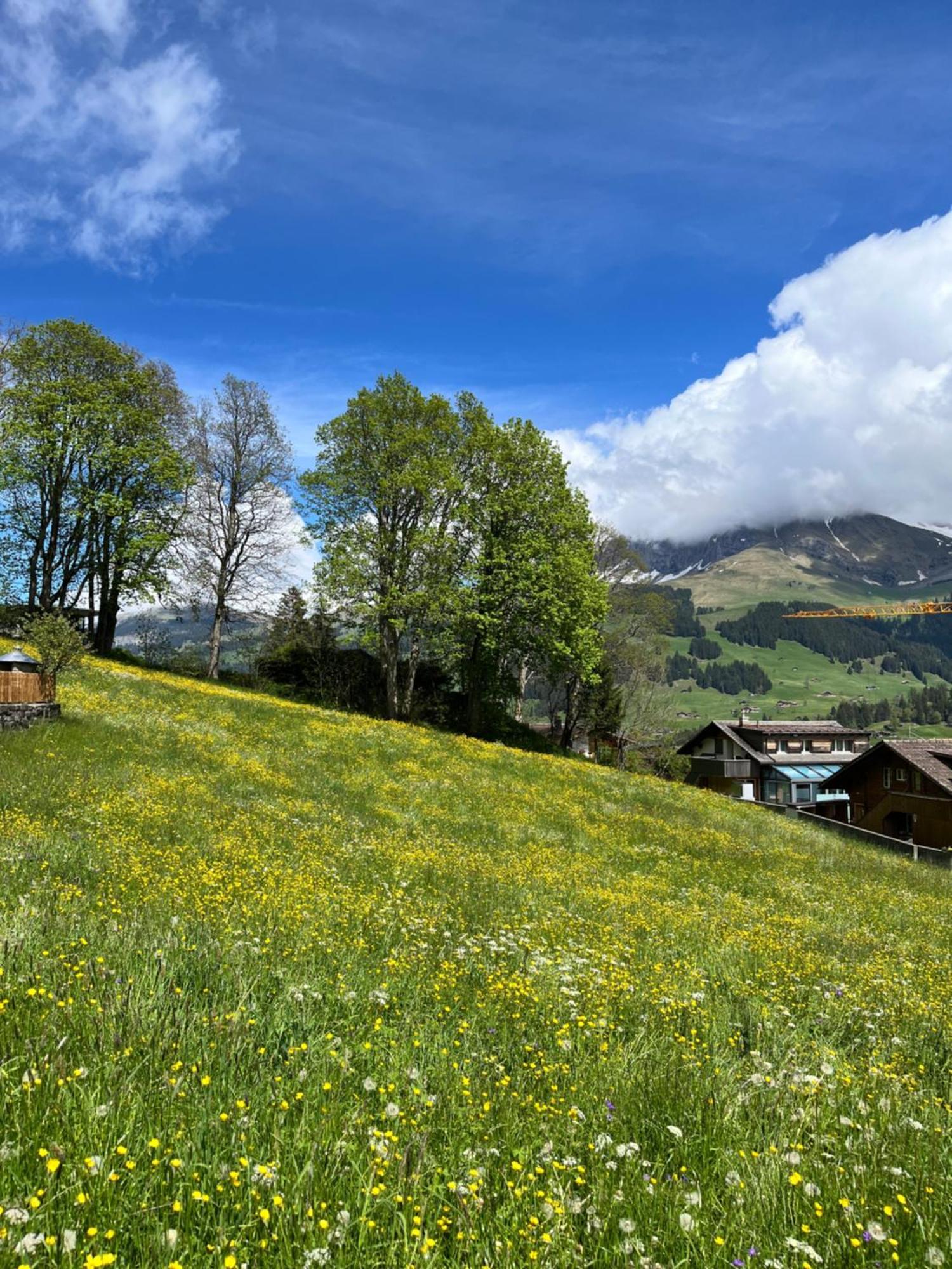 Zentrale, Gemuetliche Im Schweizer Stil I Bergblick Adelboden