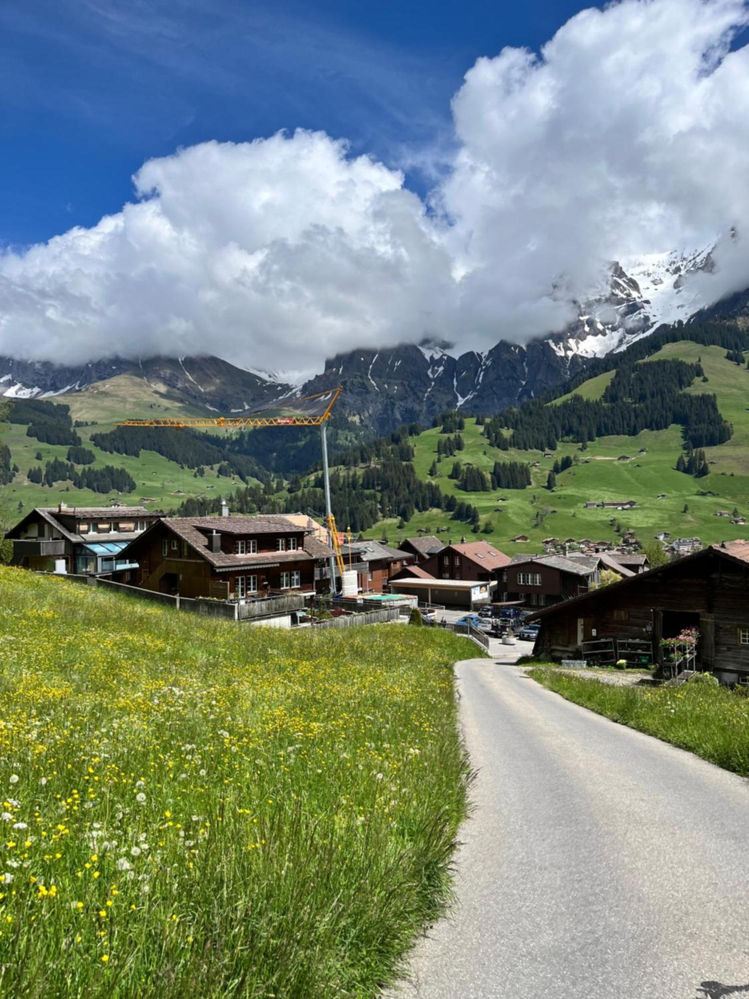 Appartement Zentrale, Gemuetliche Im Schweizer Stil I Bergblick *